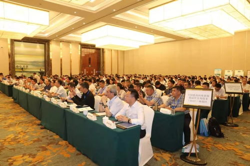 彩色透水混凝土与透水沥青 海绵城市建设中的关键技术