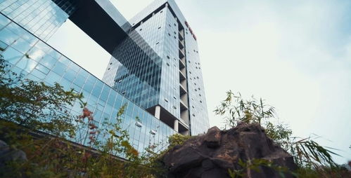 系统性创新 金螳螂的双轮驱动——装配式装修与BIM模式的建筑材料技术开发