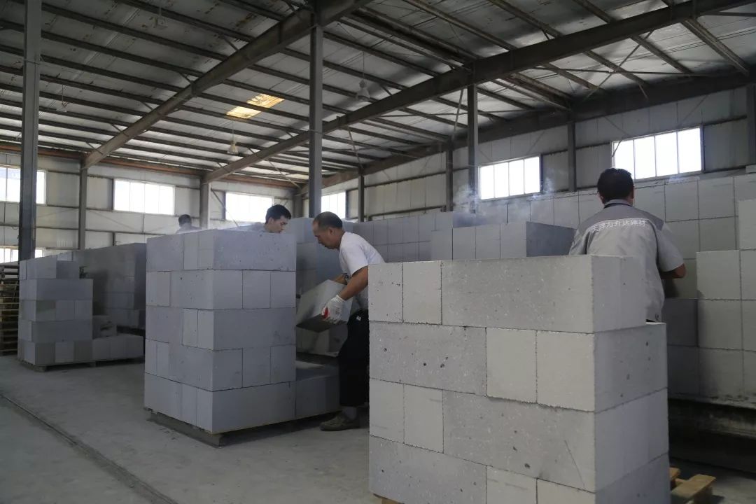 携手共筑未来 天津宝坻力升达新型墙体建材，技术驱动与真诚合作的双重承诺