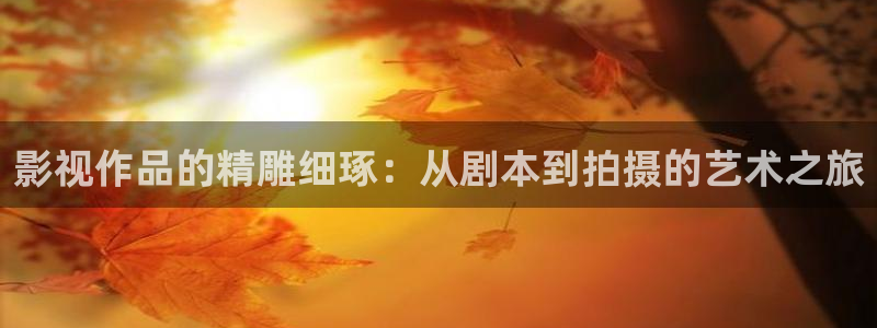 南瓜电影hd：影视作品的精雕细琢：从剧本到拍摄的艺术之旅