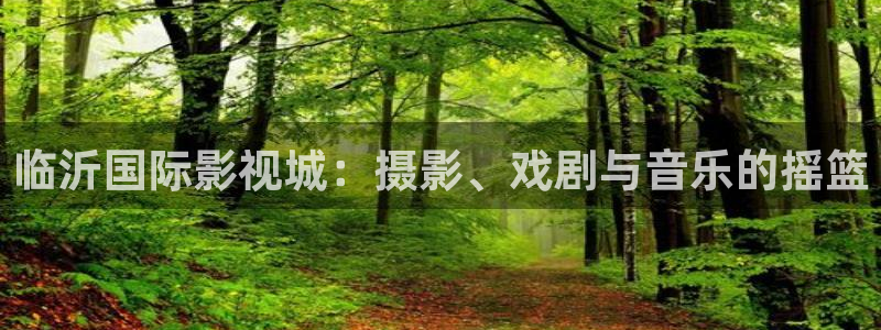 广西蜜本南瓜：临沂国际影视城：摄影、戏剧与音乐的摇篮