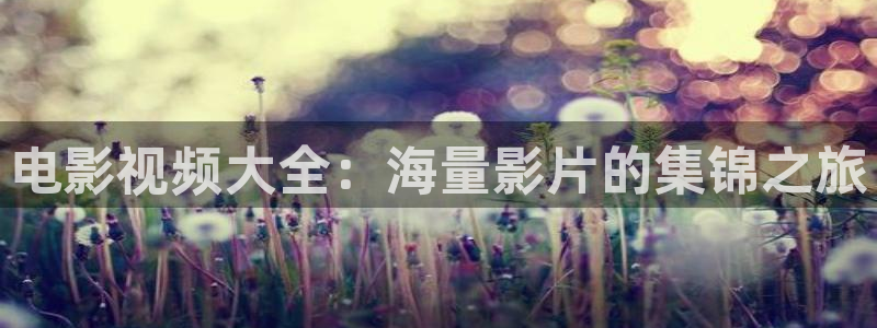 南瓜电影vip：电影视频大全：海量影片的集锦之旅