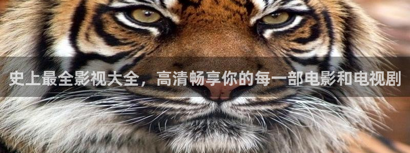 南瓜成都